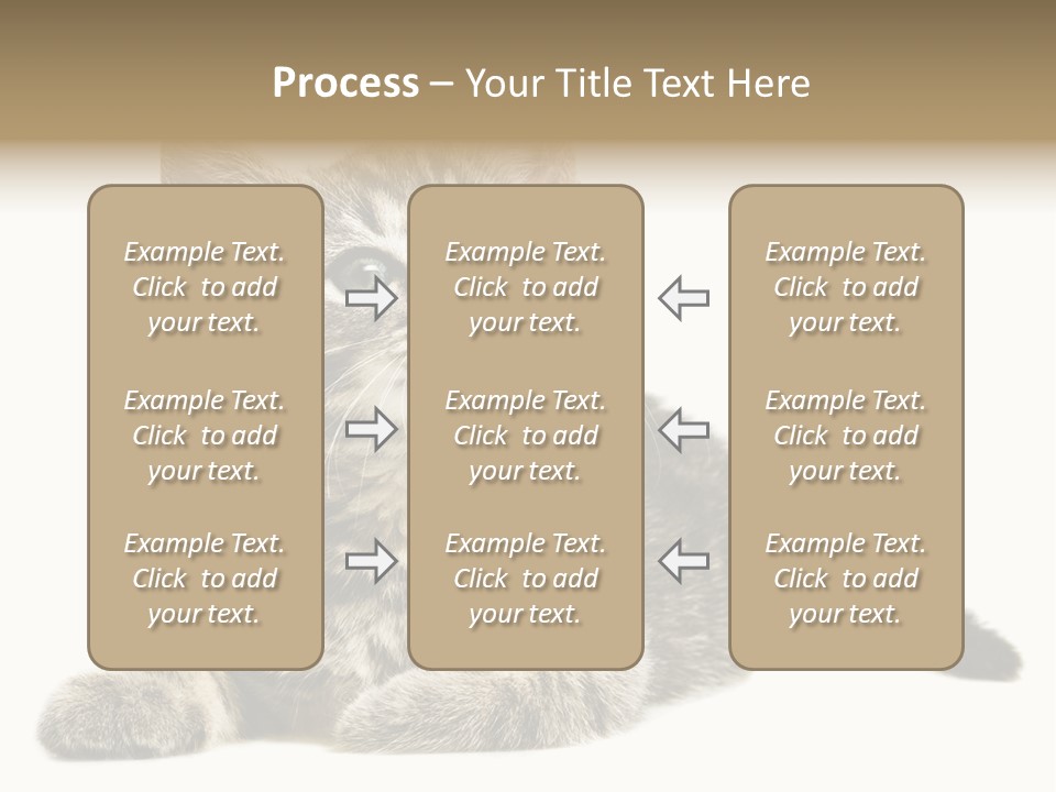 Small Kitty Sweet PowerPoint Template