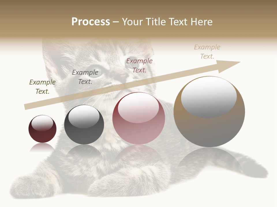 Small Kitty Sweet PowerPoint Template