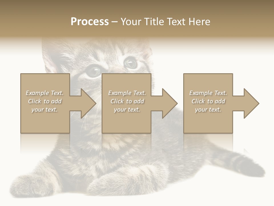 Small Kitty Sweet PowerPoint Template