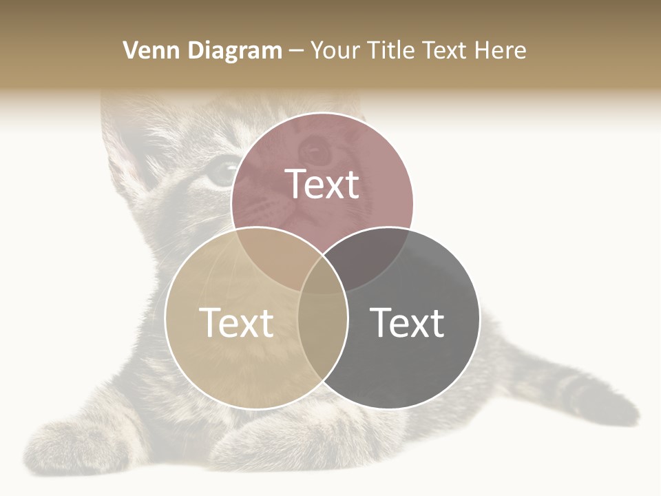 Small Kitty Sweet PowerPoint Template