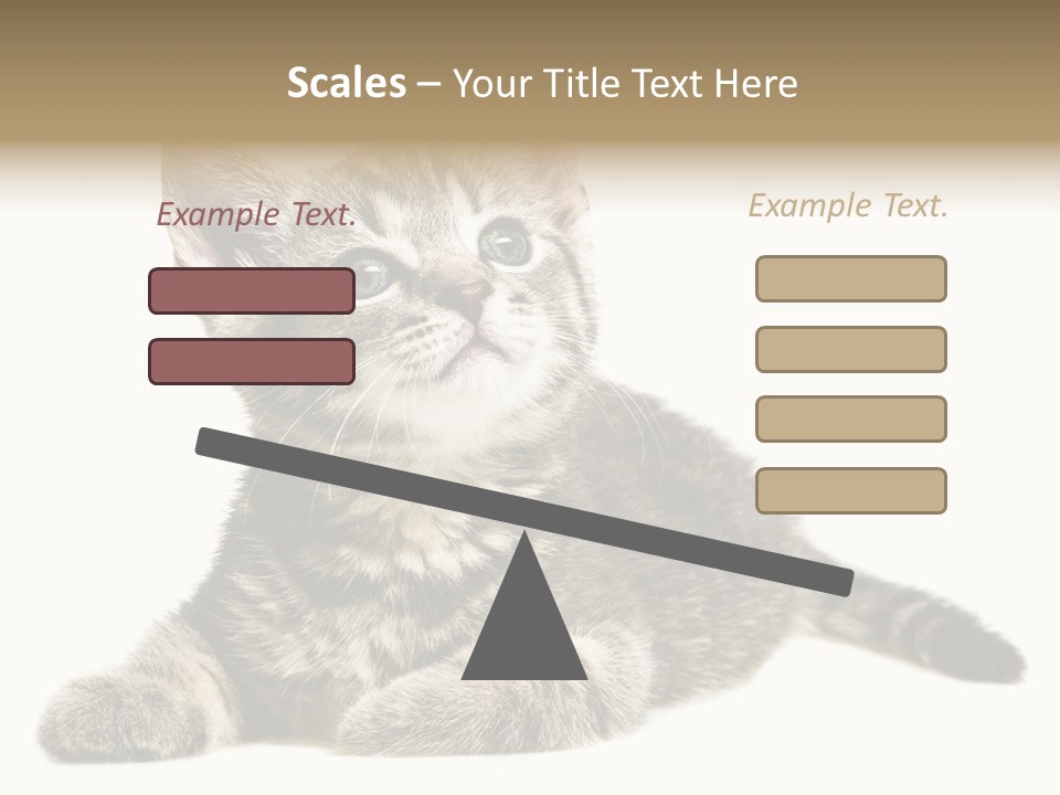 Small Kitty Sweet PowerPoint Template
