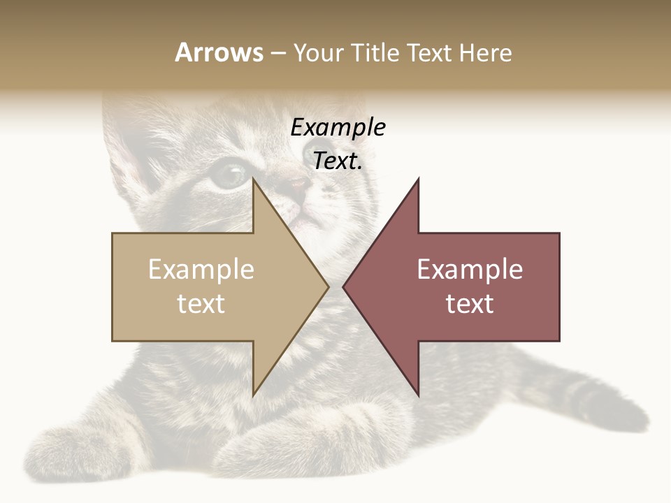 Small Kitty Sweet PowerPoint Template