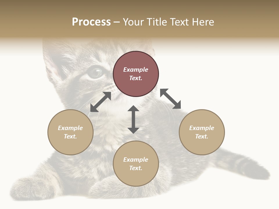 Small Kitty Sweet PowerPoint Template