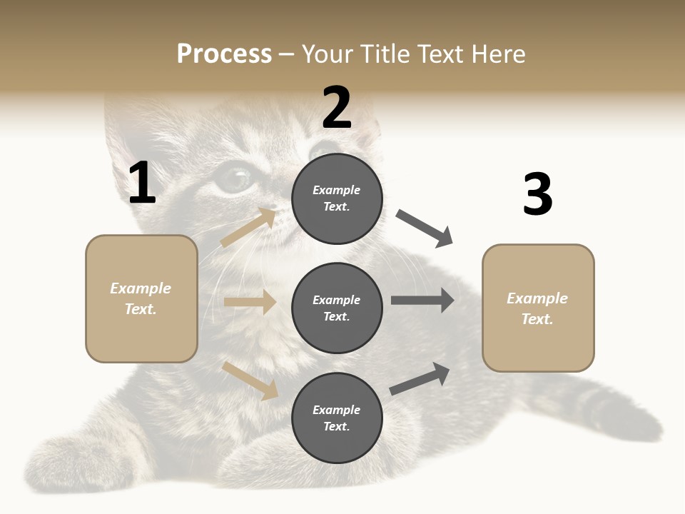 Small Kitty Sweet PowerPoint Template