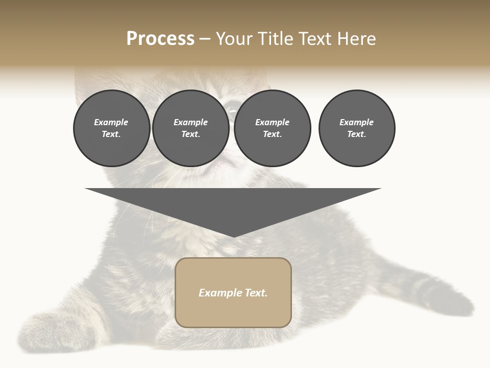 Small Kitty Sweet PowerPoint Template