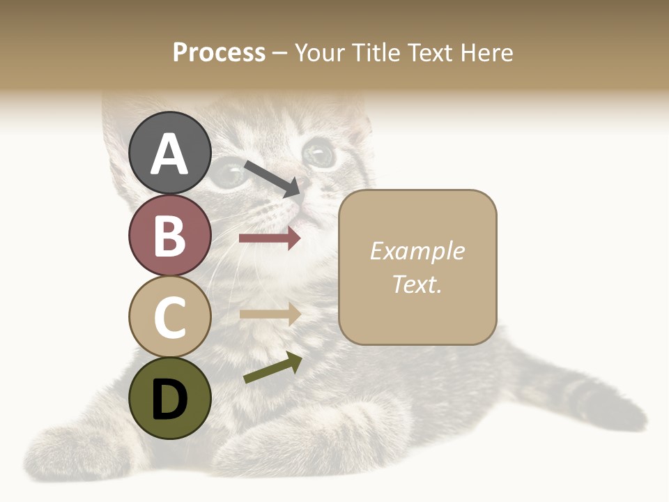 Small Kitty Sweet PowerPoint Template