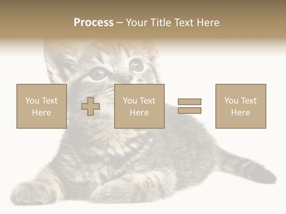 Small Kitty Sweet PowerPoint Template