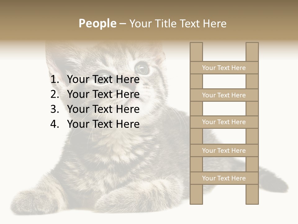 Small Kitty Sweet PowerPoint Template