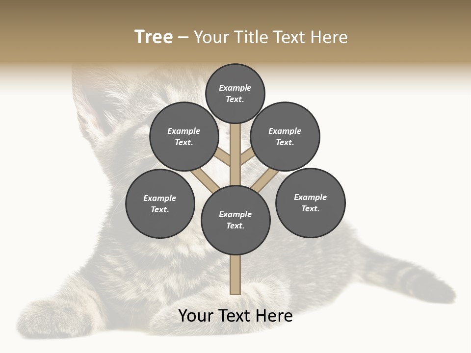 Small Kitty Sweet PowerPoint Template