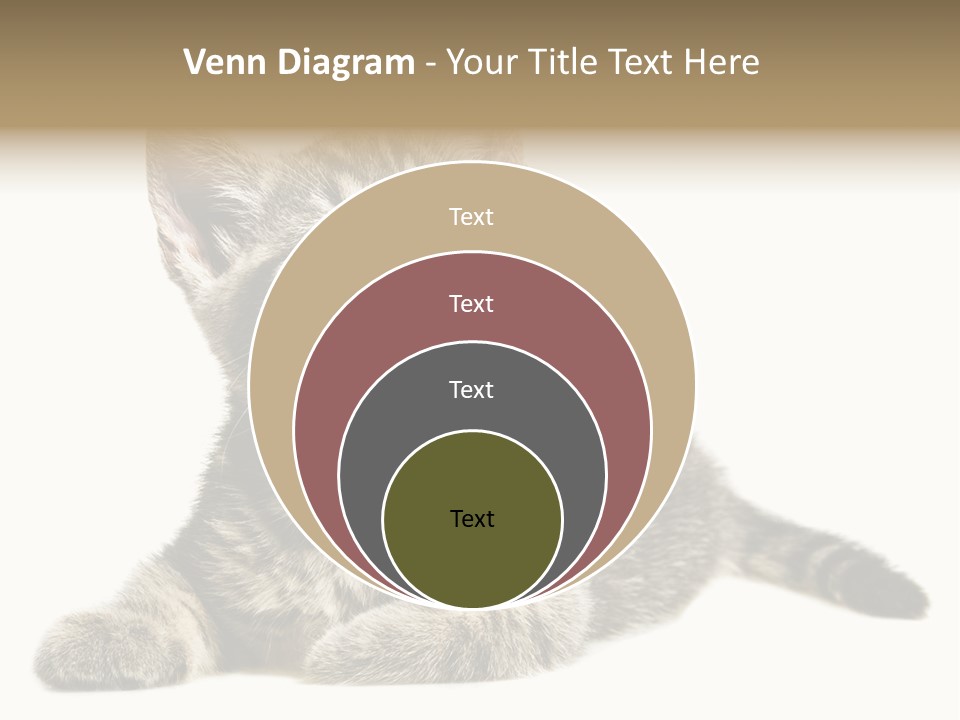 Small Kitty Sweet PowerPoint Template