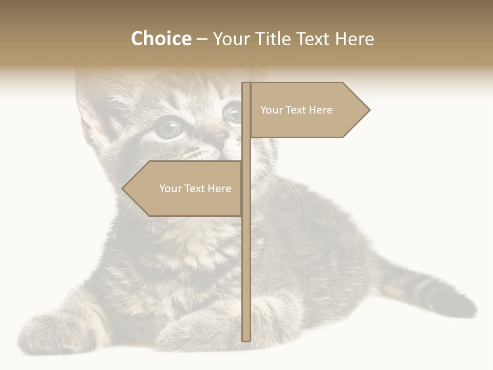 Small Kitty Sweet PowerPoint Template
