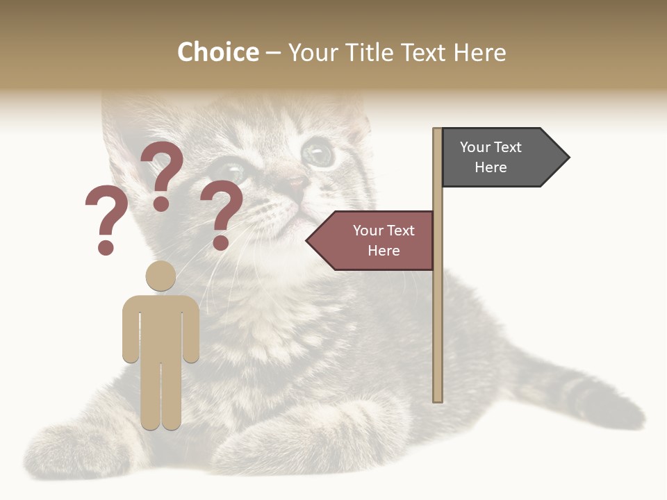 Small Kitty Sweet PowerPoint Template