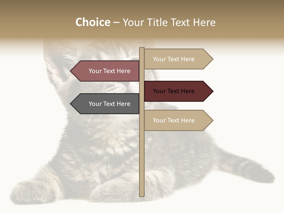 Small Kitty Sweet PowerPoint Template