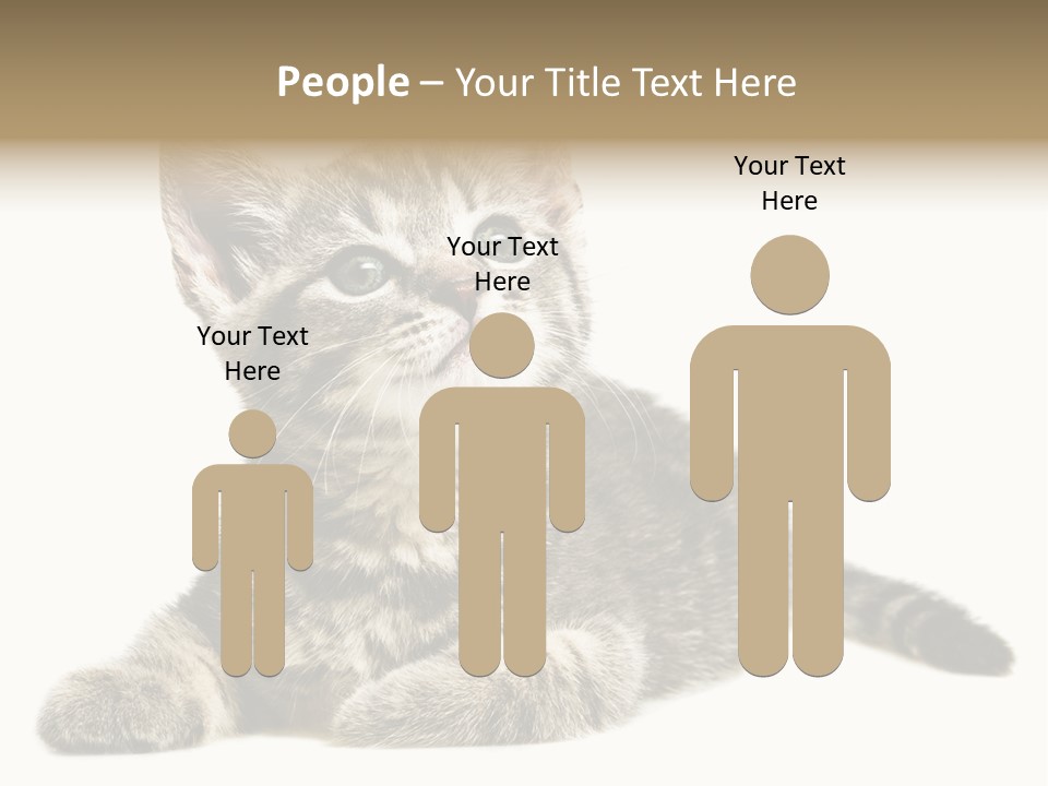 Small Kitty Sweet PowerPoint Template