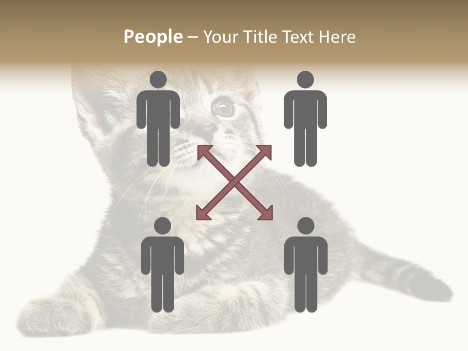 Small Kitty Sweet PowerPoint Template