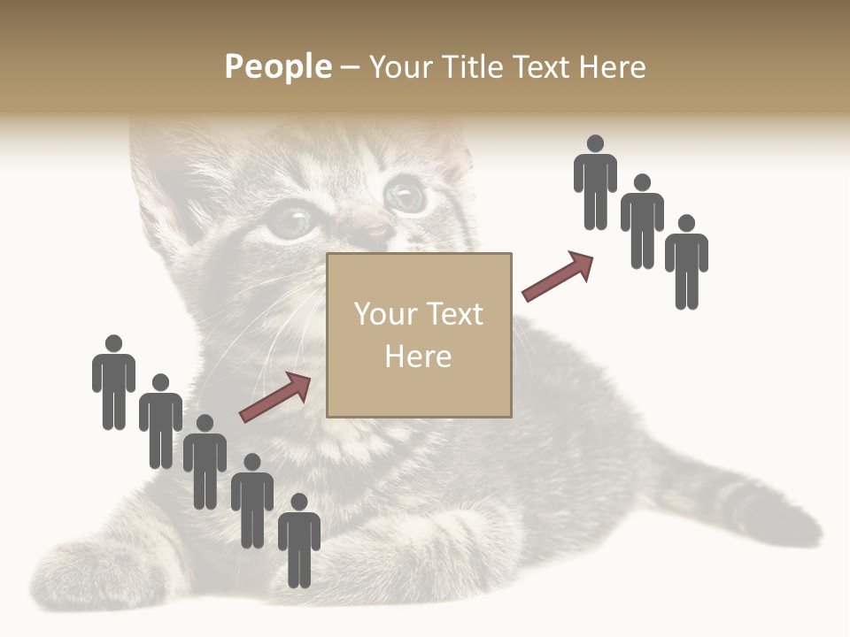 Small Kitty Sweet PowerPoint Template