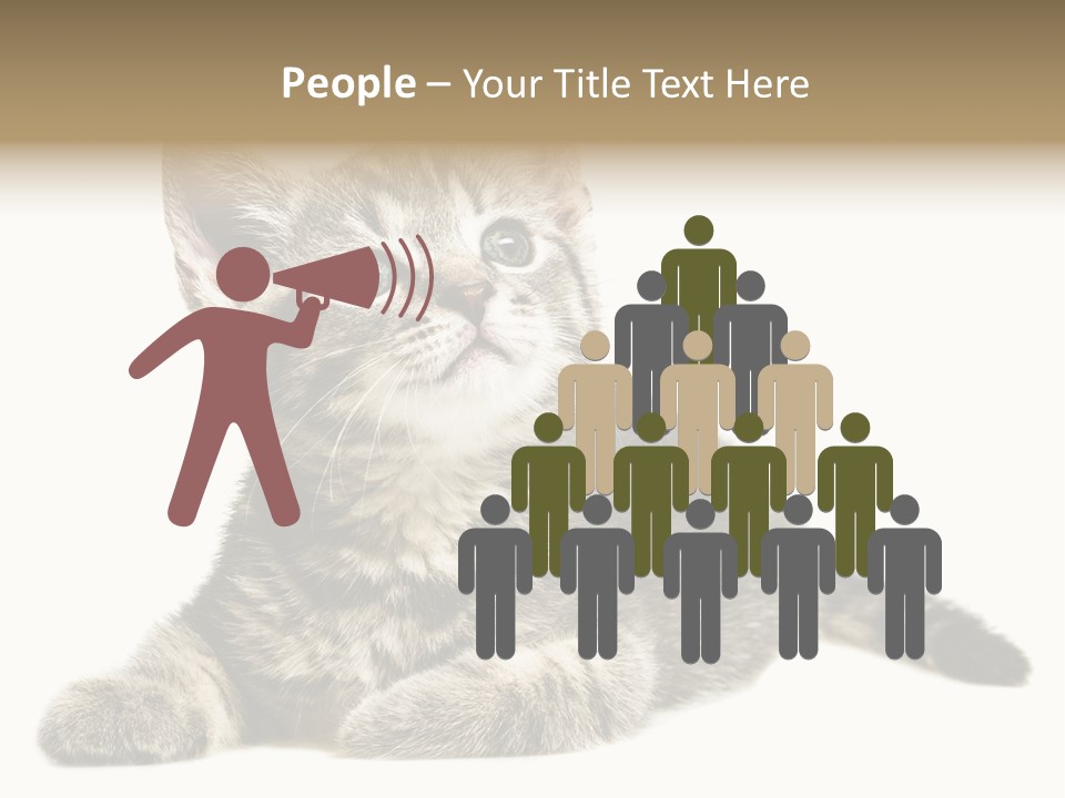 Small Kitty Sweet PowerPoint Template