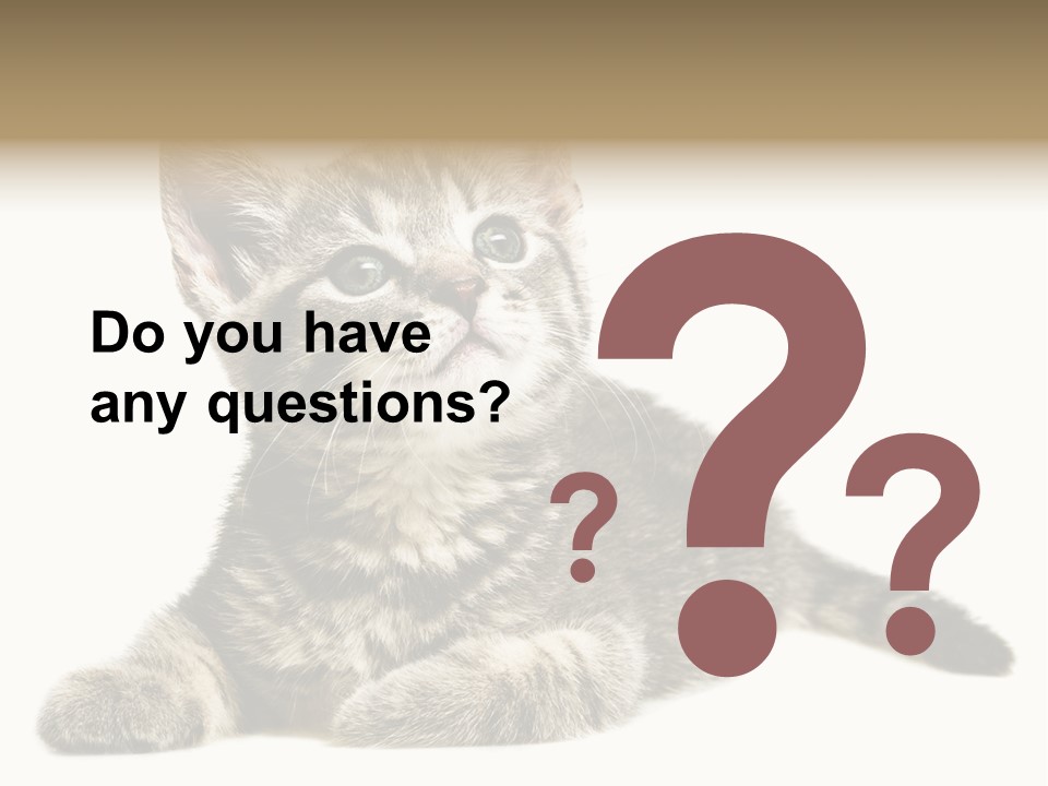 Small Kitty Sweet PowerPoint Template