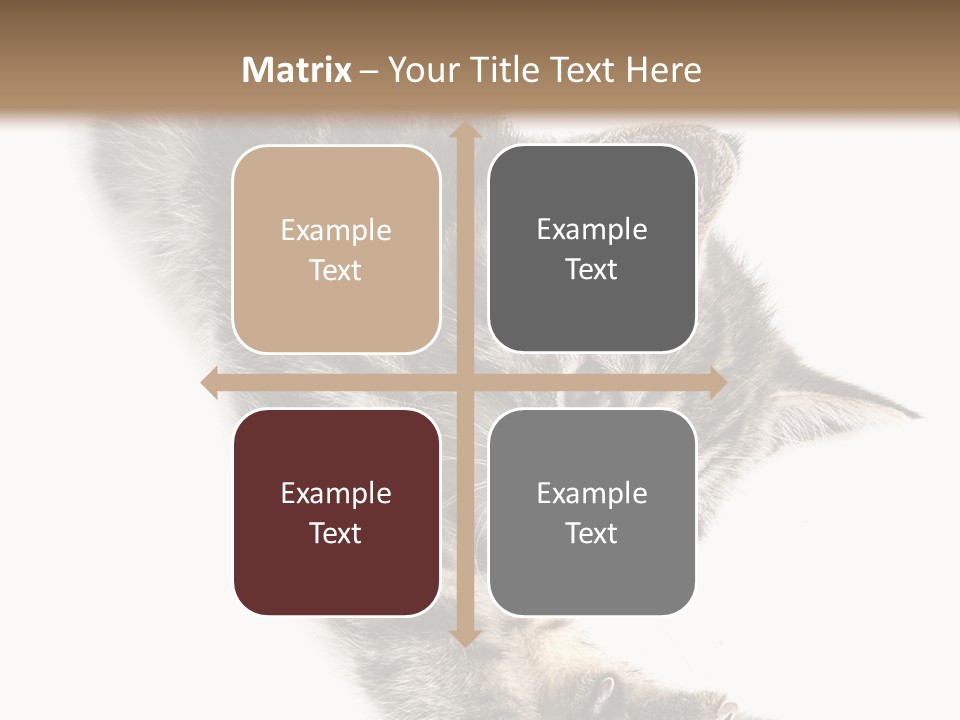 Cat Grey Fur PowerPoint Template