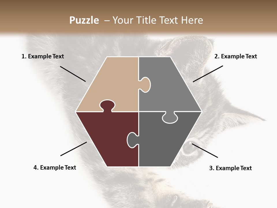 Cat Grey Fur PowerPoint Template