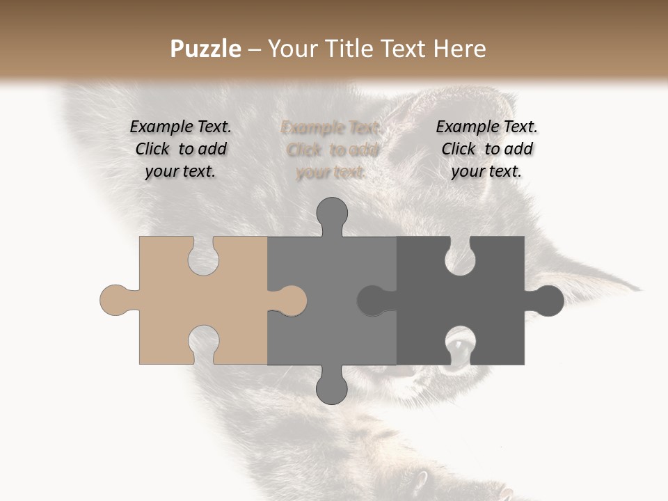 Cat Grey Fur PowerPoint Template