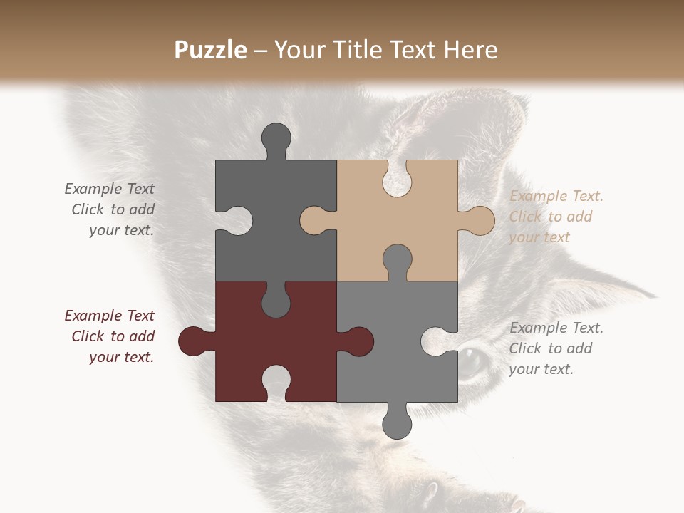 Cat Grey Fur PowerPoint Template