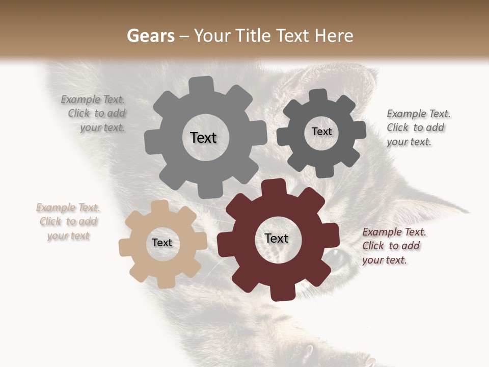 Cat Grey Fur PowerPoint Template