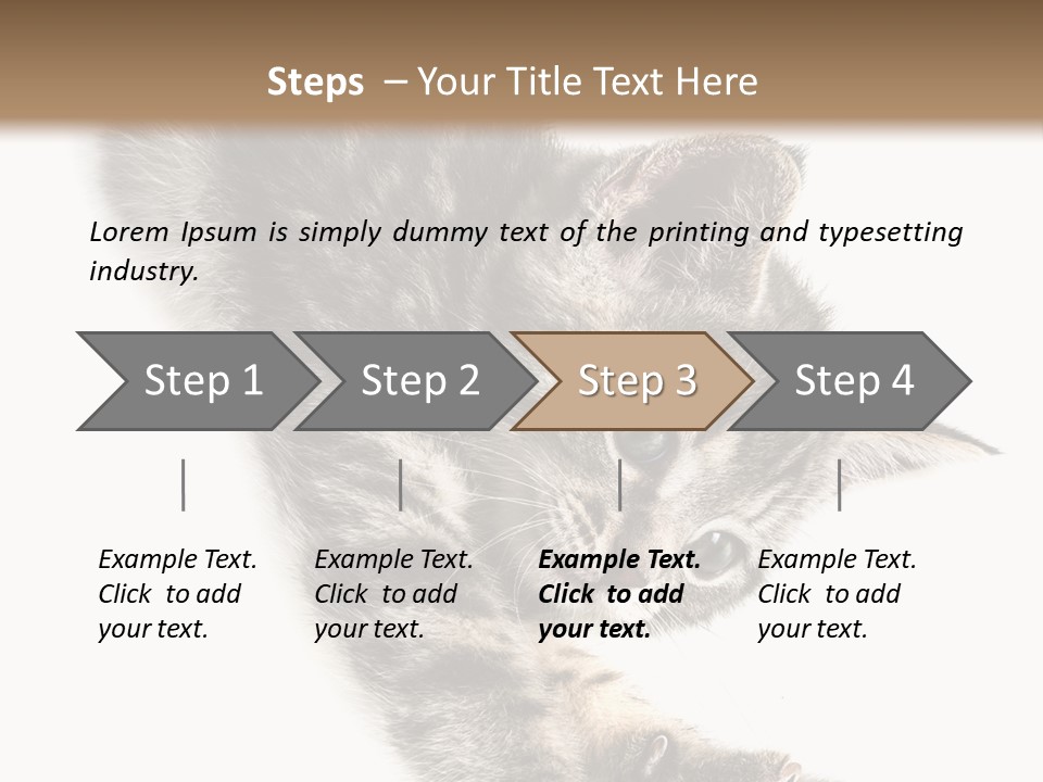 Cat Grey Fur PowerPoint Template