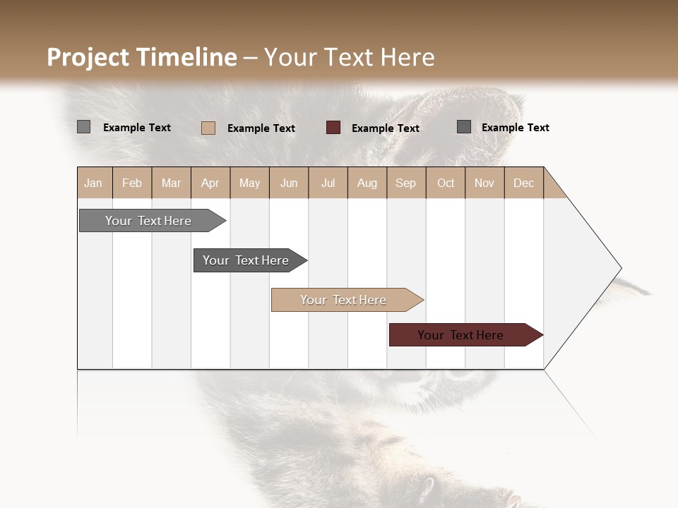 Cat Grey Fur PowerPoint Template