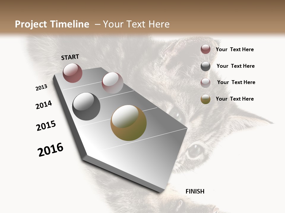 Cat Grey Fur PowerPoint Template