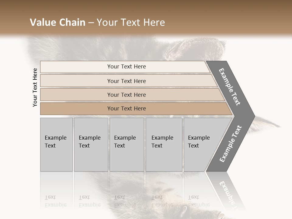 Cat Grey Fur PowerPoint Template