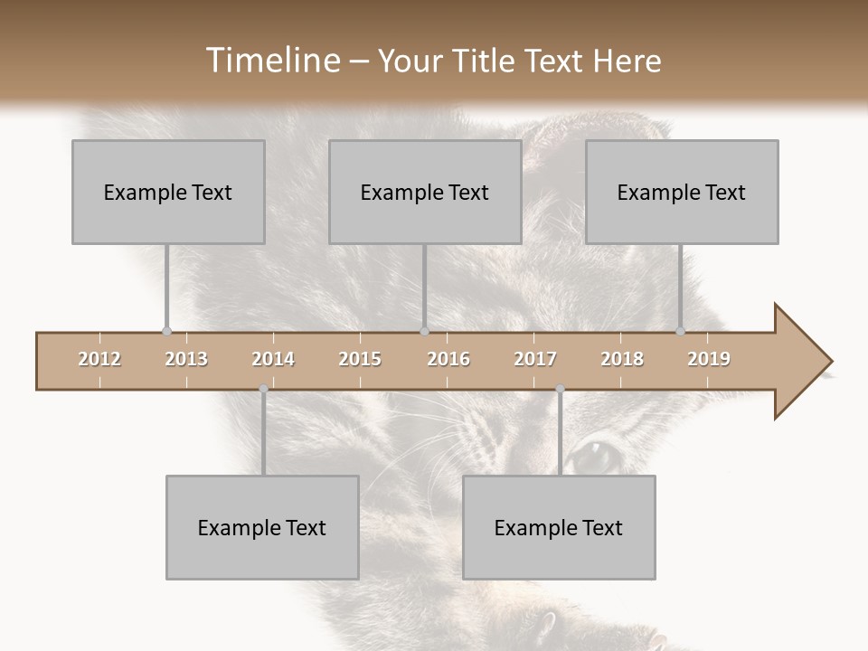 Cat Grey Fur PowerPoint Template