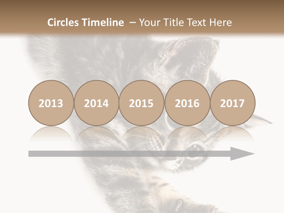 Cat Grey Fur PowerPoint Template