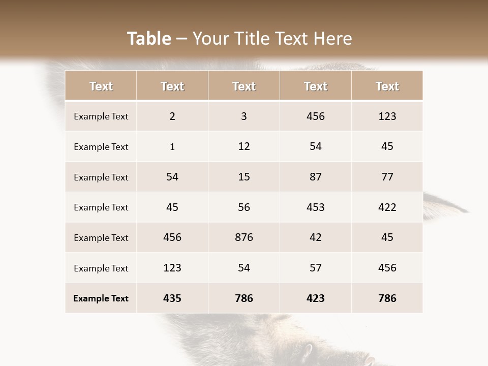 Cat Grey Fur PowerPoint Template