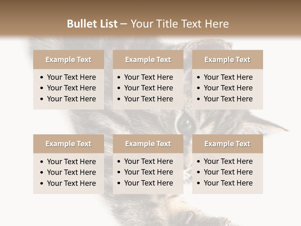 Cat Grey Fur PowerPoint Template