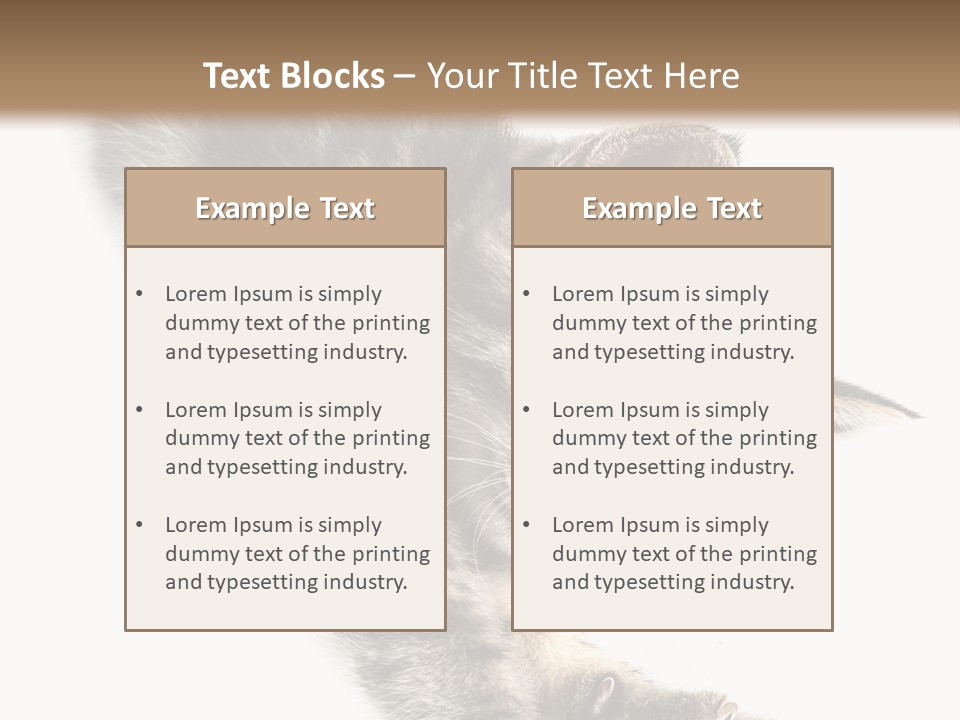 Cat Grey Fur PowerPoint Template