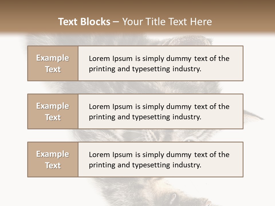 Cat Grey Fur PowerPoint Template