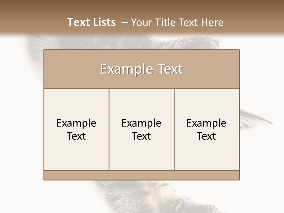 Cat Grey Fur PowerPoint Template