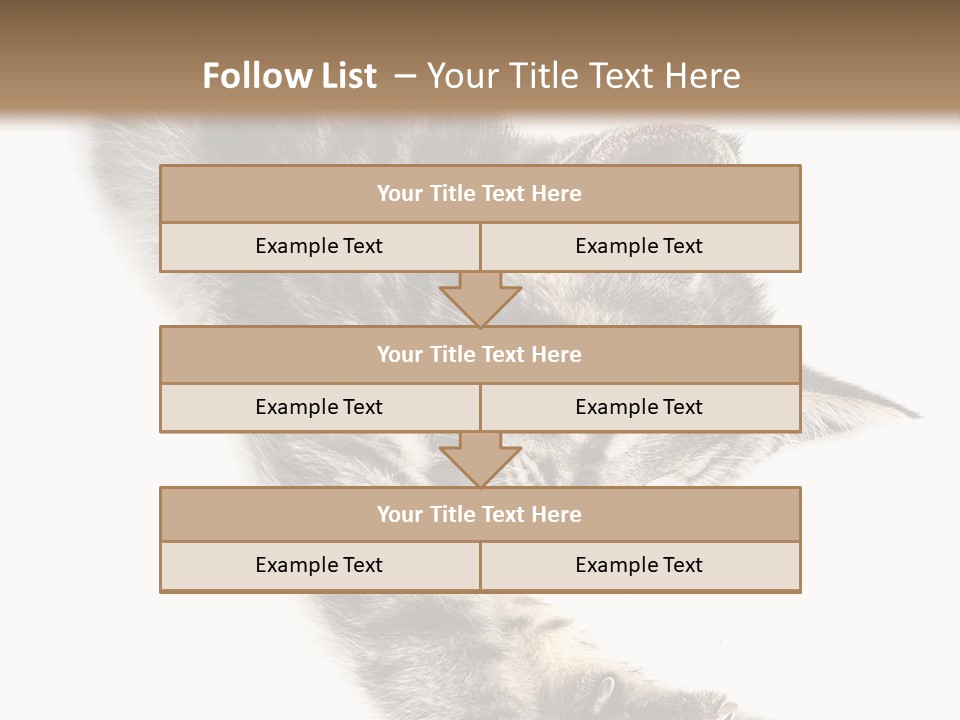 Cat Grey Fur PowerPoint Template