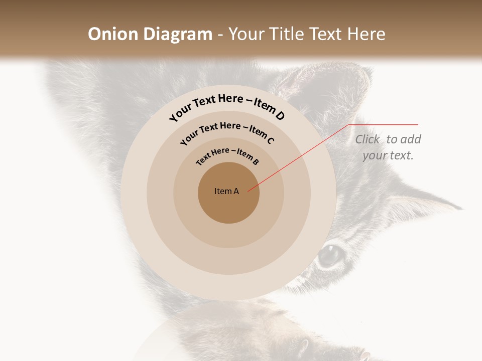 Cat Grey Fur PowerPoint Template