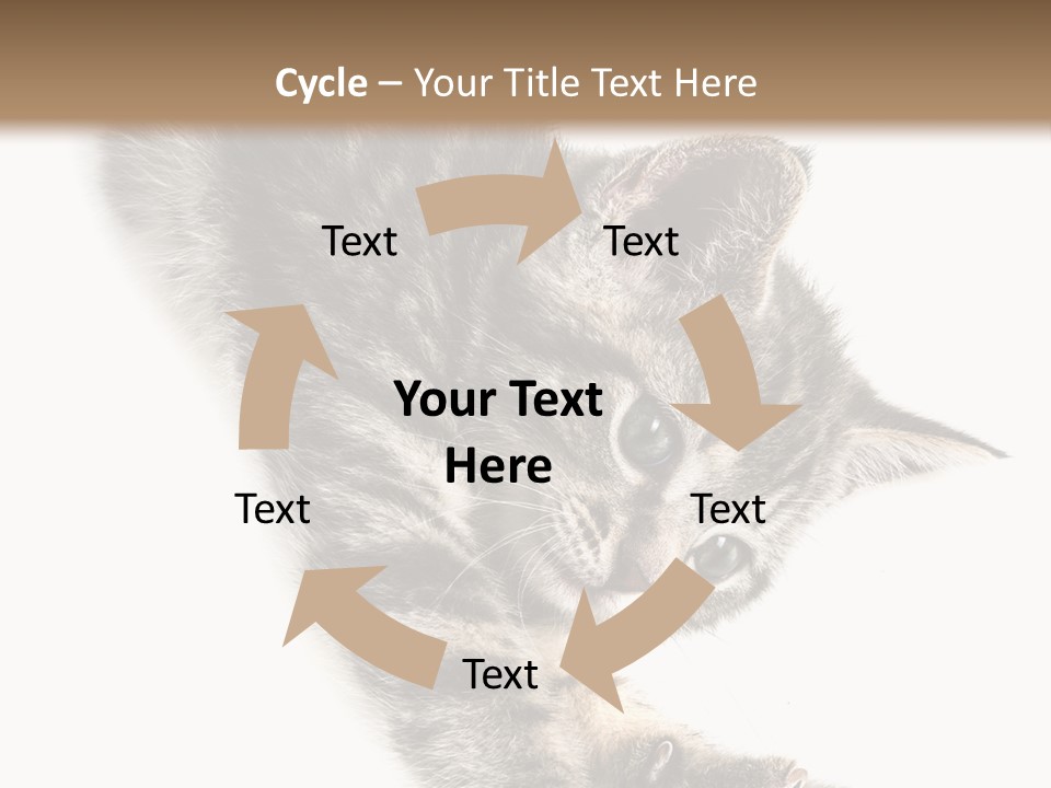 Cat Grey Fur PowerPoint Template