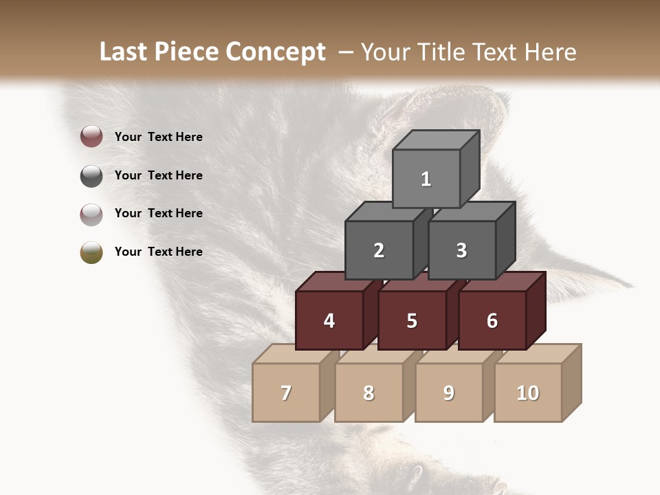 Cat Grey Fur PowerPoint Template