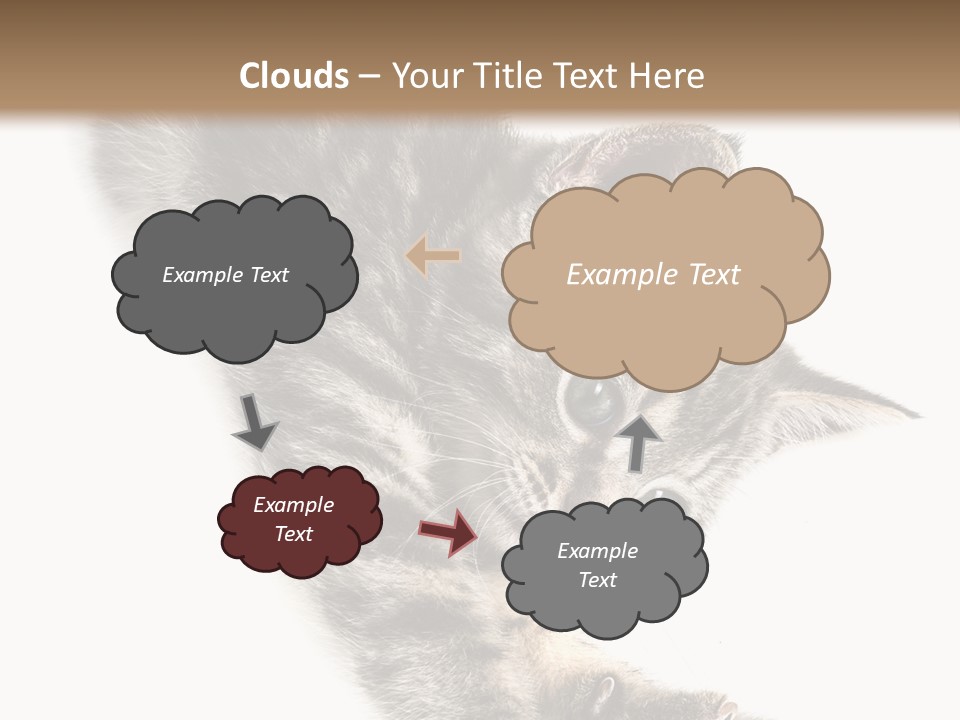 Cat Grey Fur PowerPoint Template