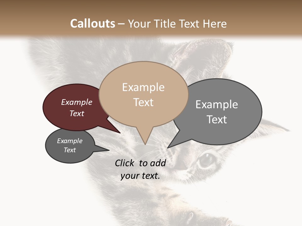 Cat Grey Fur PowerPoint Template