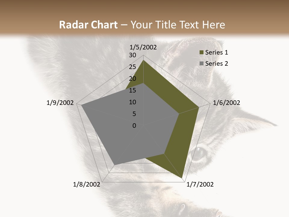 Cat Grey Fur PowerPoint Template