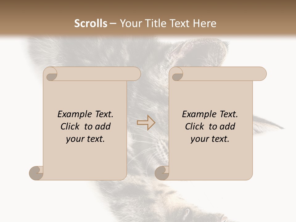 Cat Grey Fur PowerPoint Template