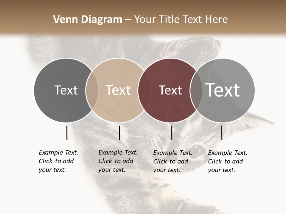 Cat Grey Fur PowerPoint Template