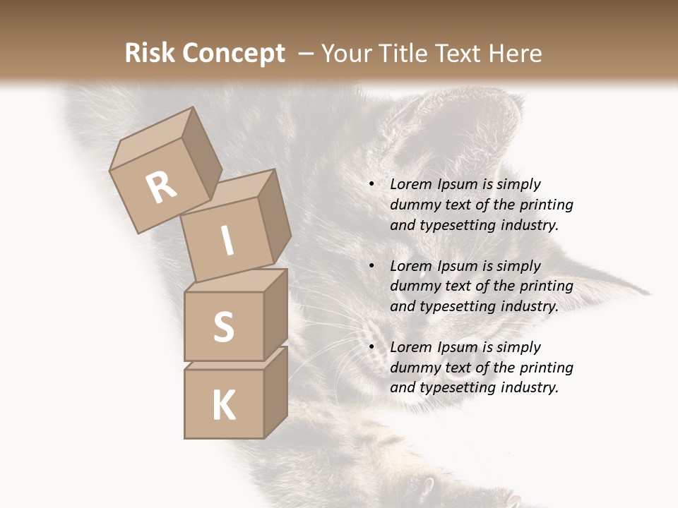 Cat Grey Fur PowerPoint Template