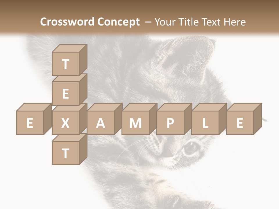 Cat Grey Fur PowerPoint Template