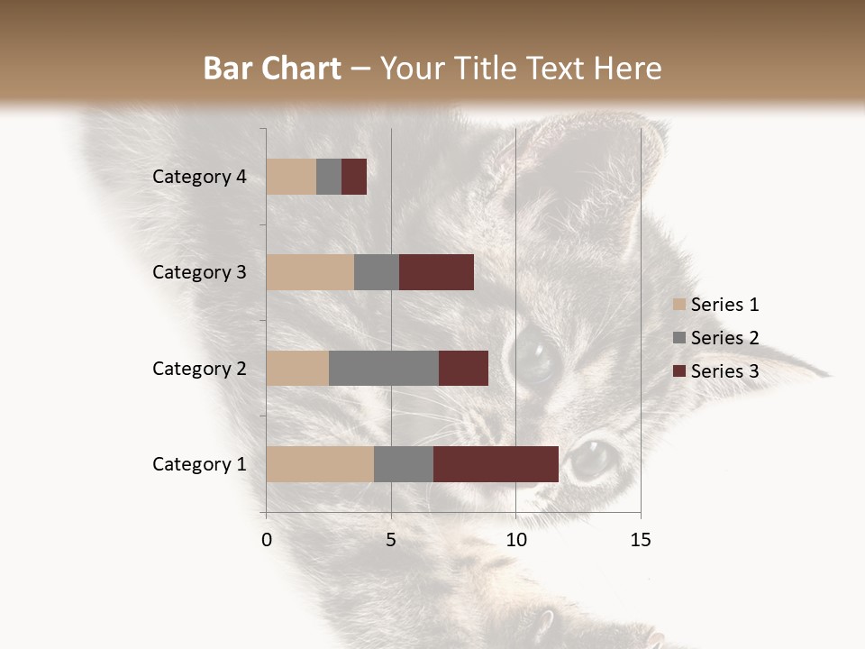Cat Grey Fur PowerPoint Template